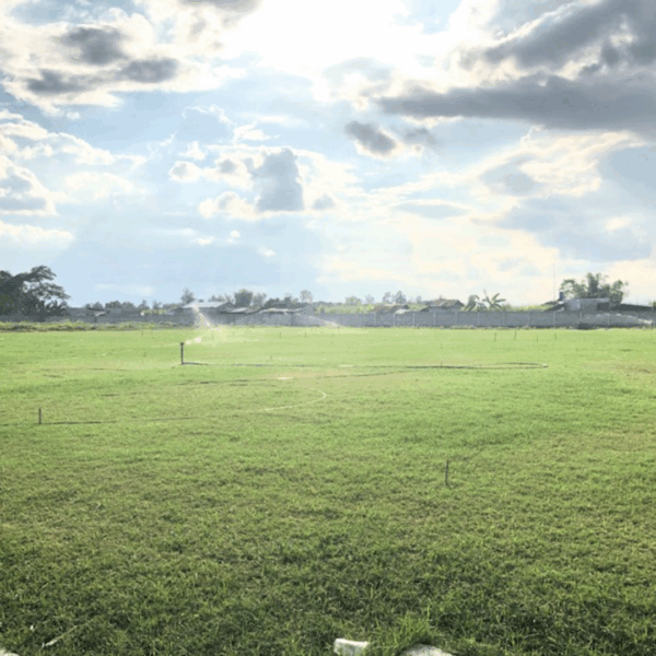 CAPAS TARLAC GRASSING AND IRRIGATION