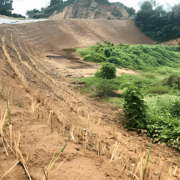 FOREST LAKE BAUANG LA UNION LAND DEVELOPMENT (1)